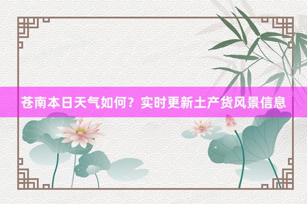 苍南本日天气如何？实时更新土产货风景信息