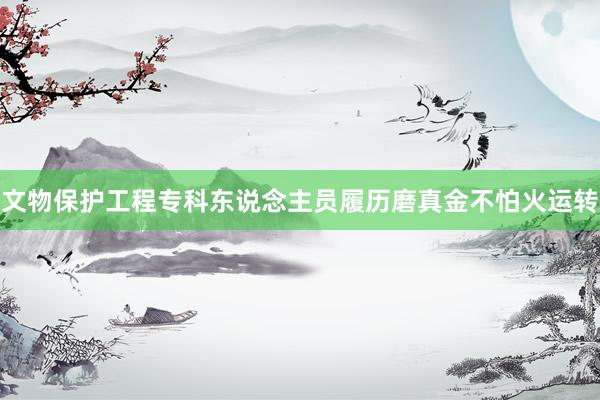 文物保护工程专科东说念主员履历磨真金不怕火运转