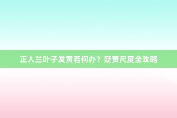 正人兰叶子发黄若何办？贬责尺度全攻略